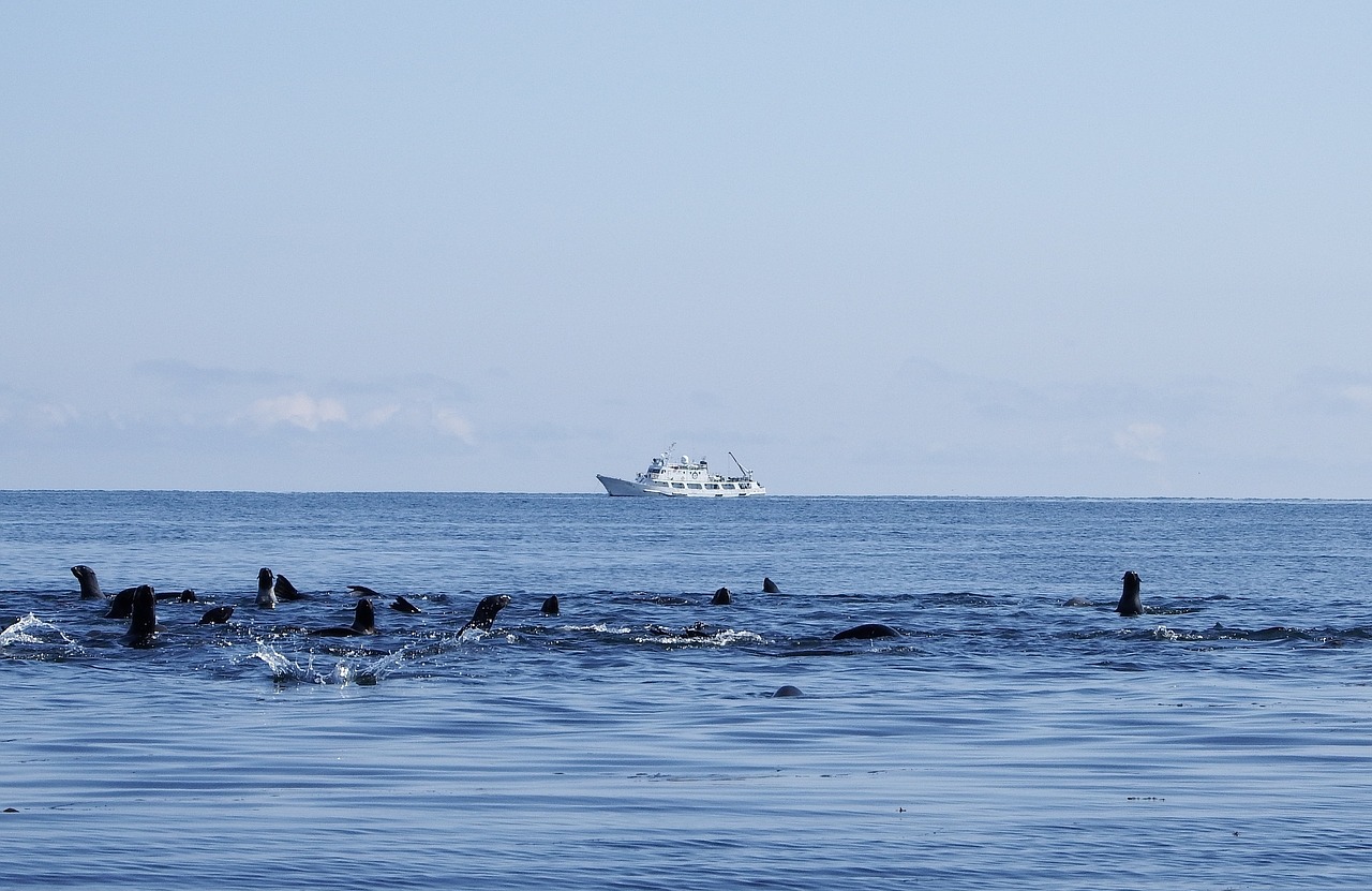 の カニ 海 漁 ベーリング